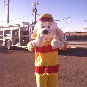 Meet your Posher, Samuel